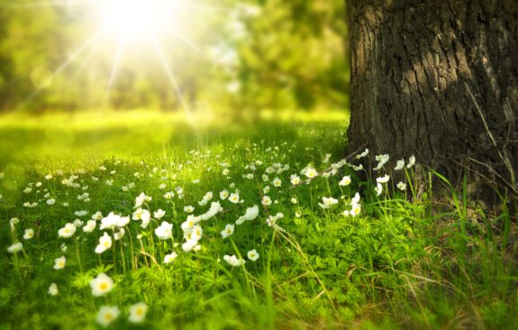 Spring 2019 news in brief 3
