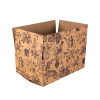 regular transit case